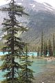 193 - Maligne Canyon, Medicine Lake, Maligne Lake - IMG_1183